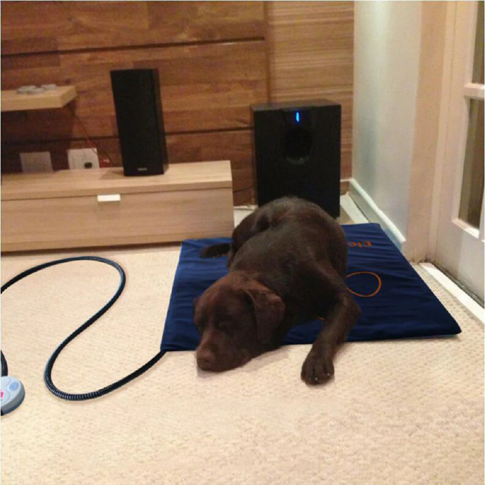 Electric Pet Dog Heating Pad