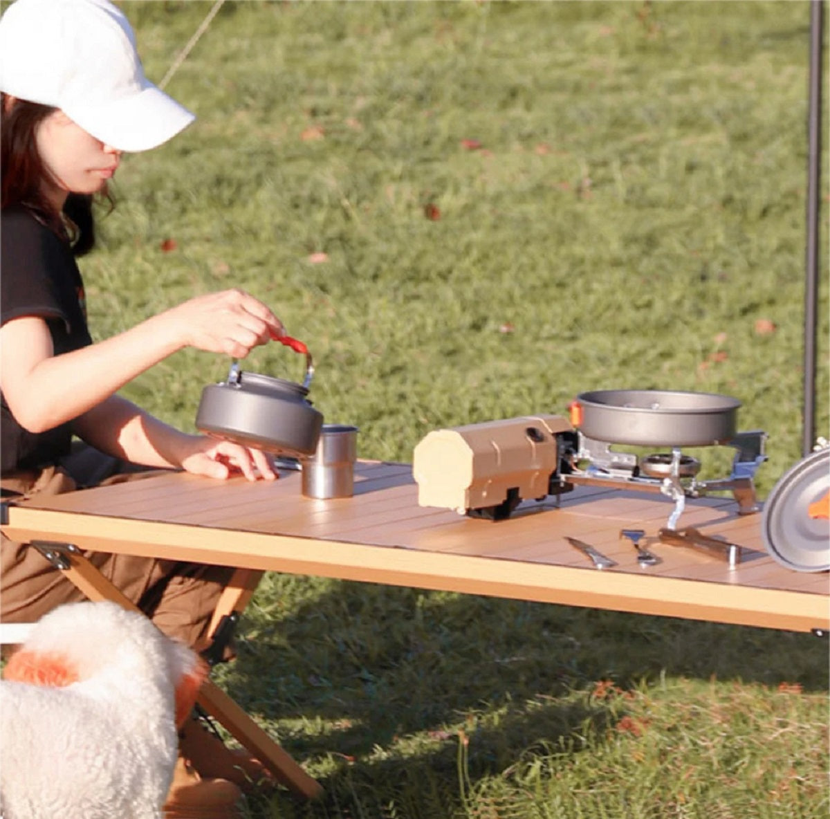 Portable Camping Gas Stove