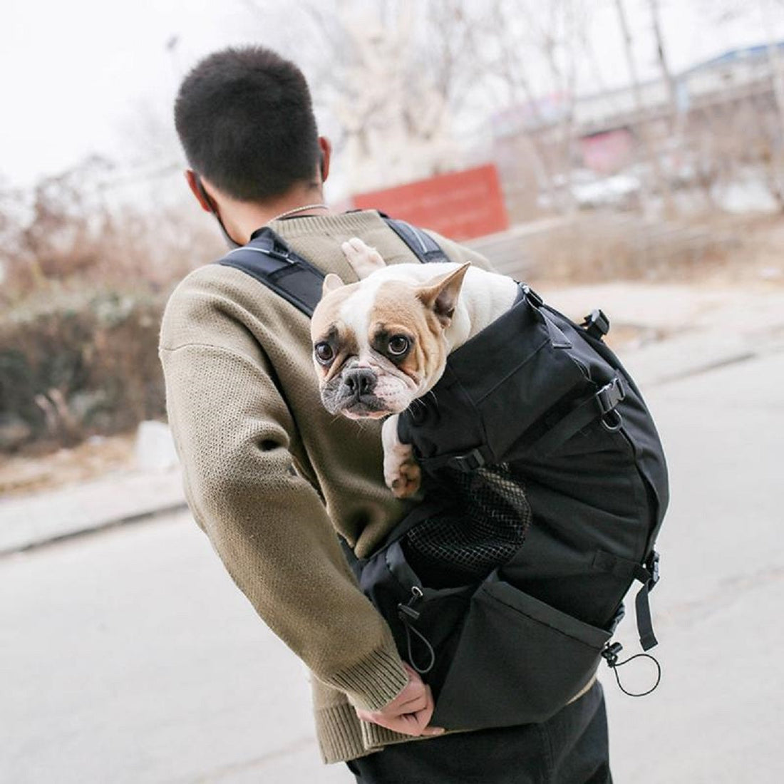 Dog Carrier Backpack for Most Sizes