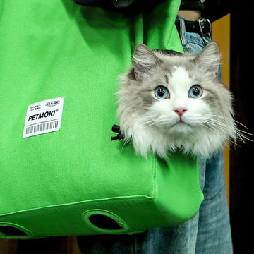Portable Breathable Bag Walk Design Cat Dog Carrier
