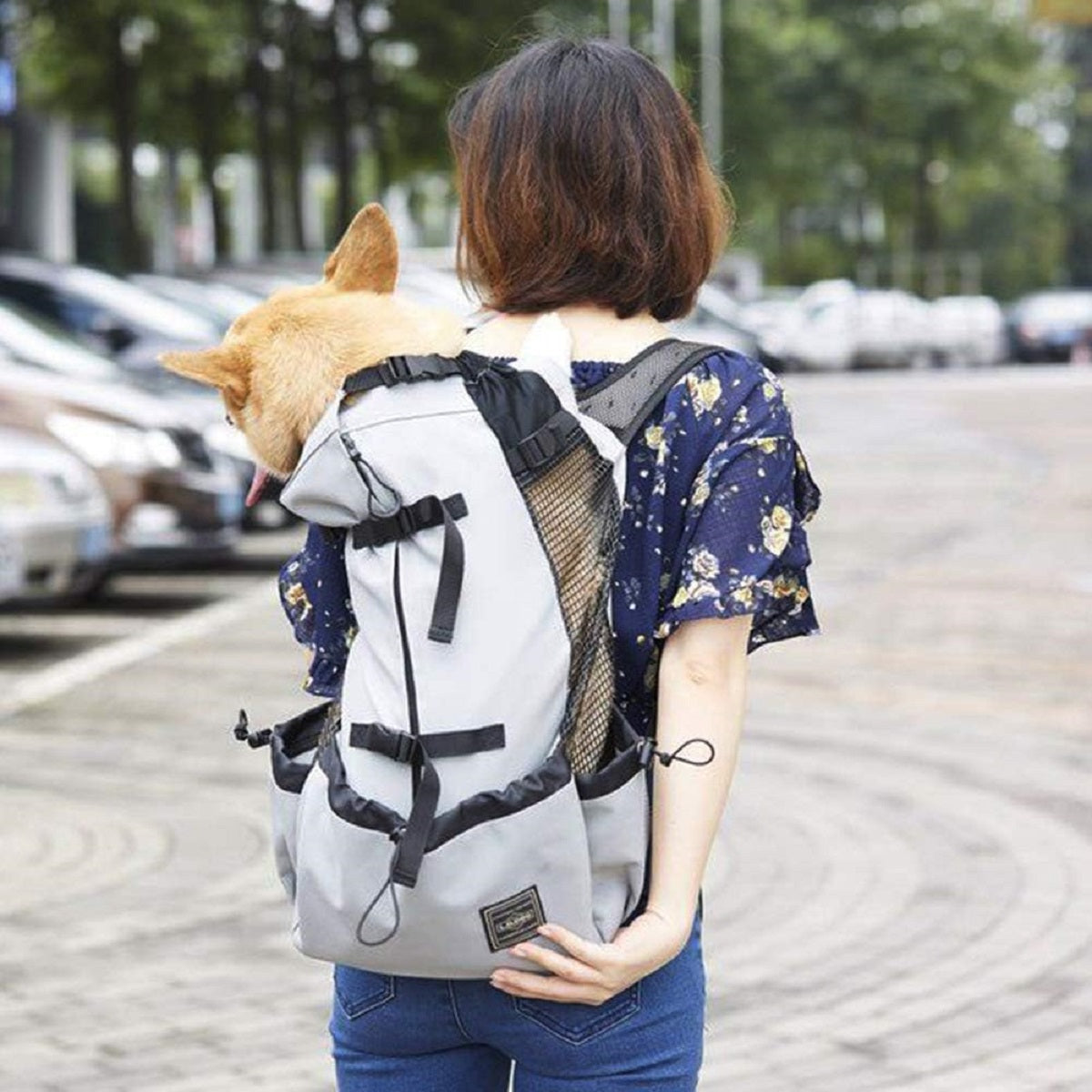 Dog Carrier Backpack for Most Sizes