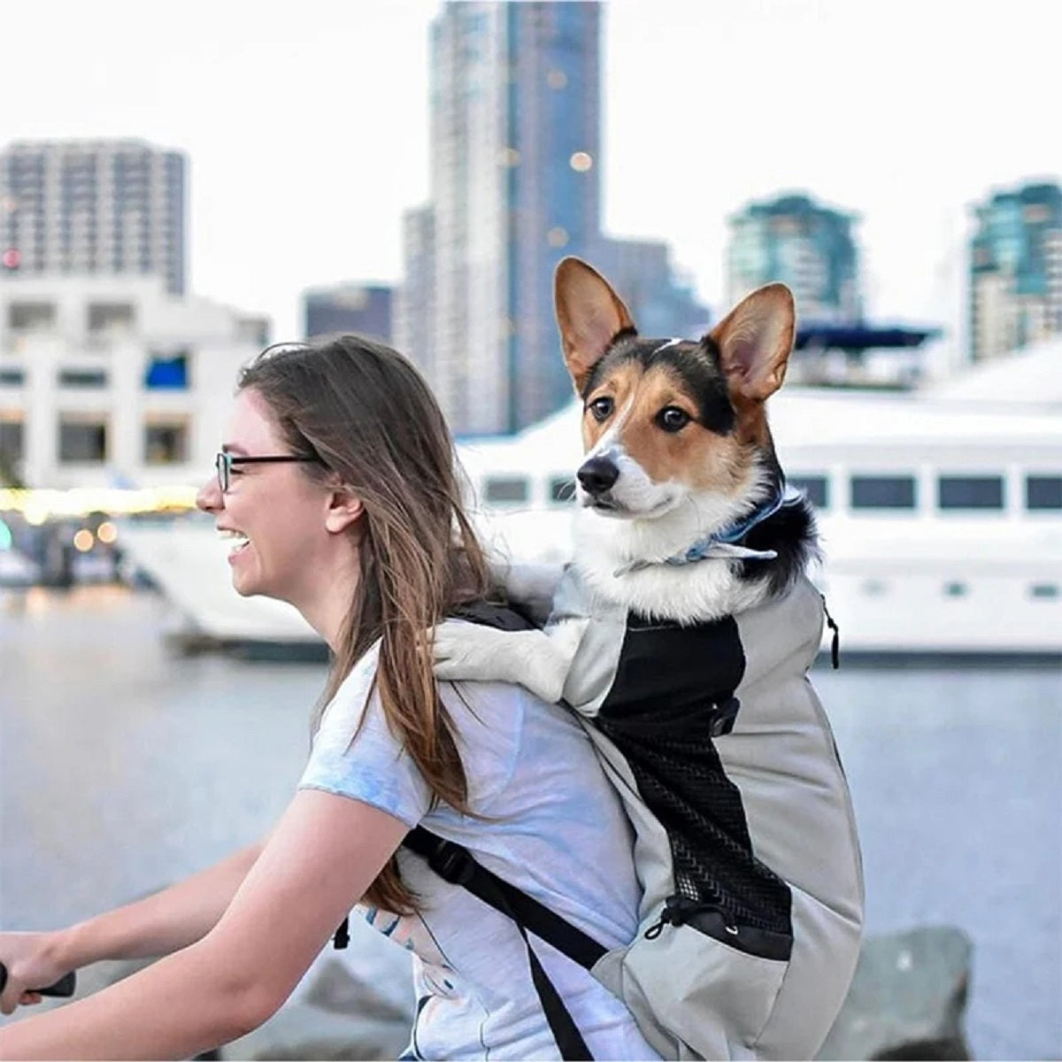 Dog Carrier Backpack for Most Sizes