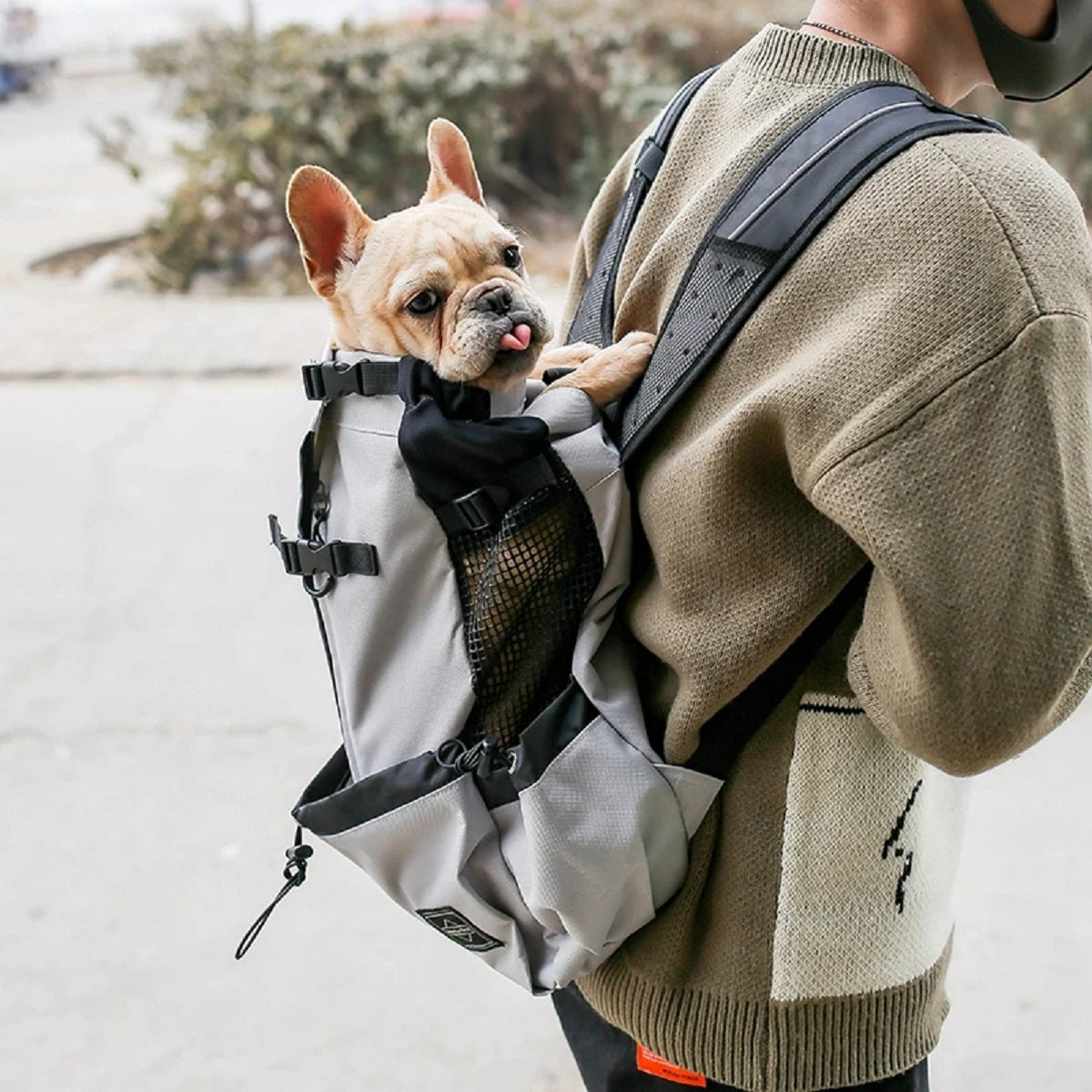 Dog Carrier Backpack for Most Sizes