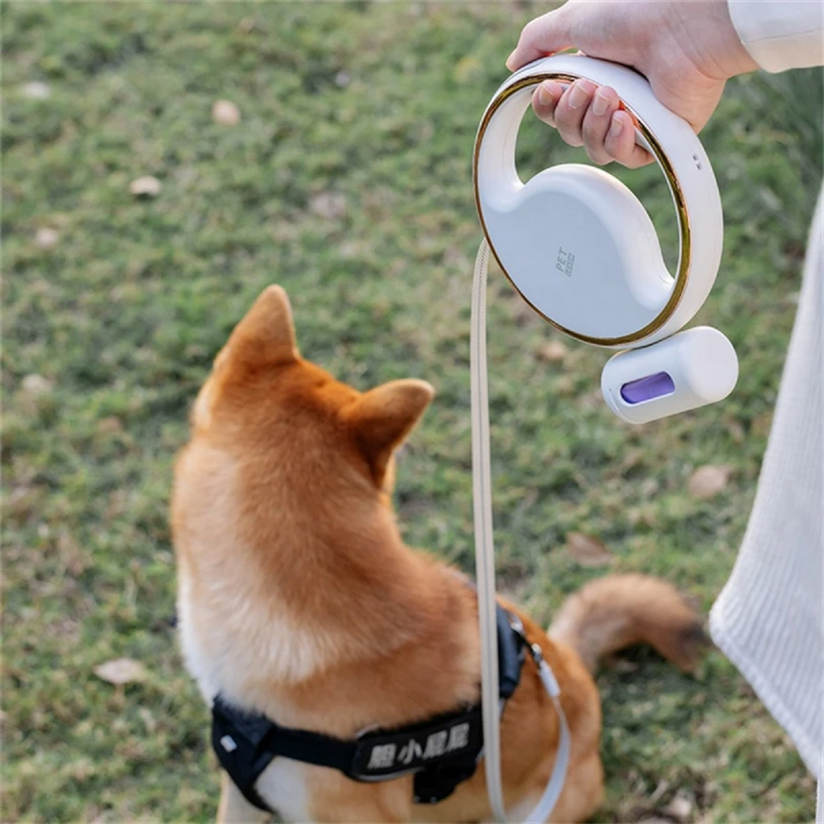 Dog Leash Automatic Retractable with Flash Light Pet
