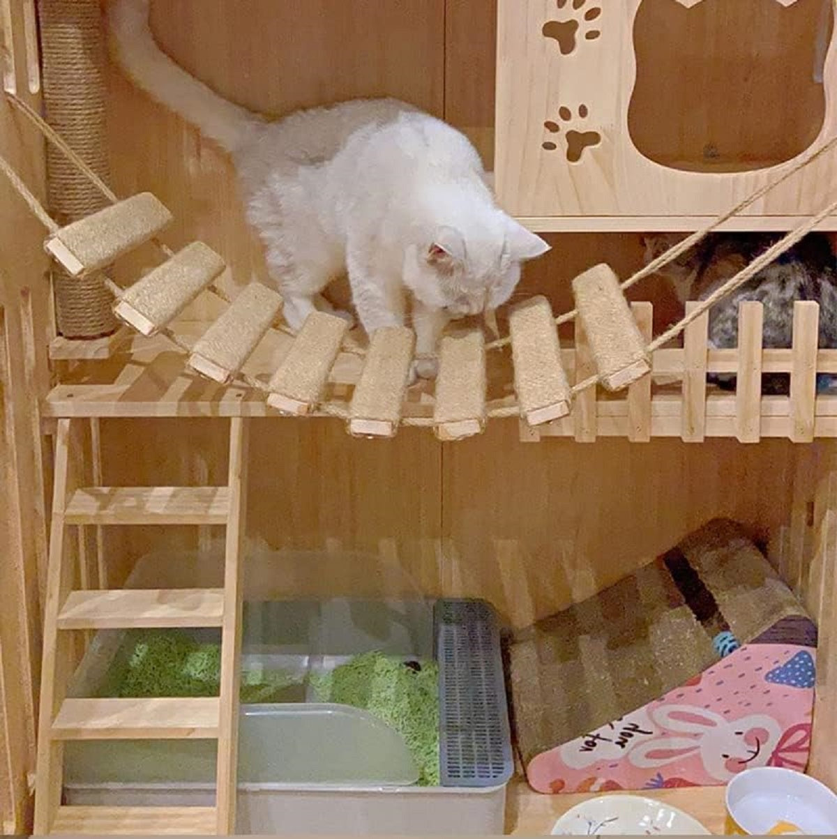 Cat Climbing Frame Tree Wall Bridge Rope Ladder for Pet Furniture