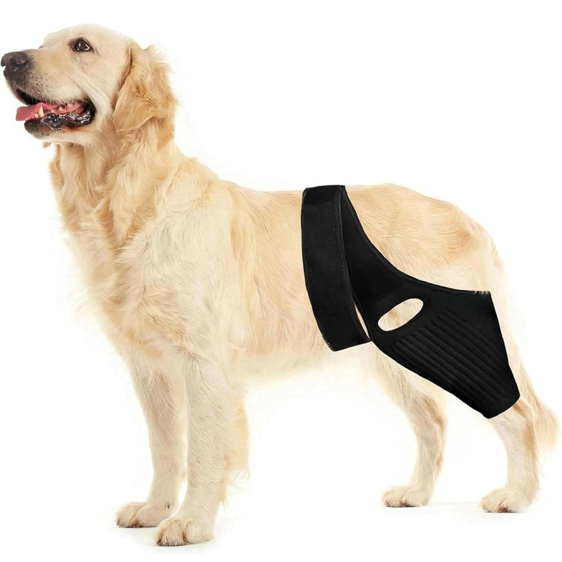 Adjustable Dog Knee And Hip Brace - Rear Leg Support for ACL Injury