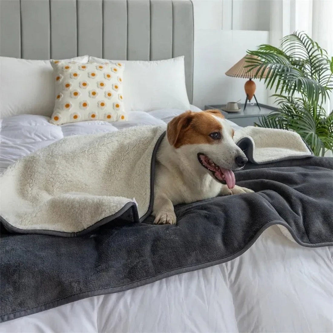 Premium Waterproof Pet Blanket - Dog and Cat Throw in Slate Grey