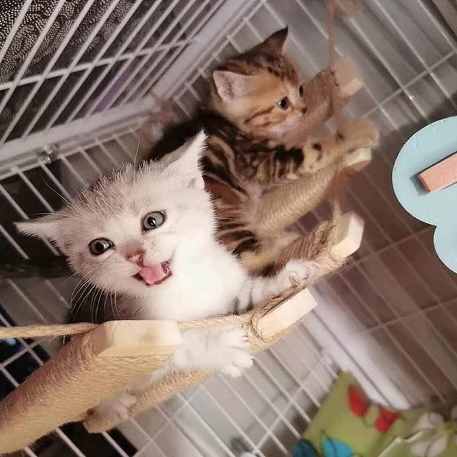 Cat Climbing Frame Tree Wall Bridge Rope Ladder for Pet Furniture