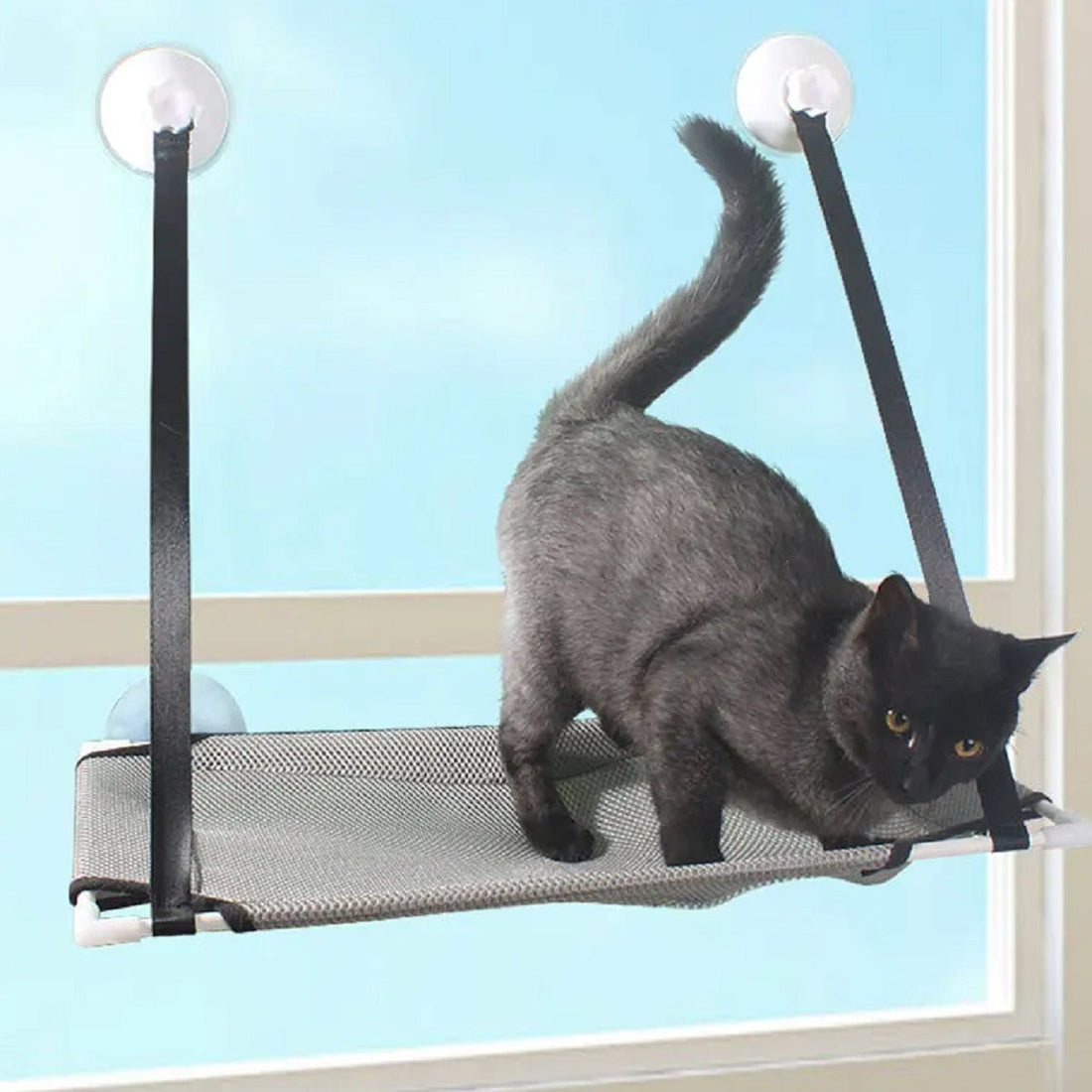 Cat Bed Hanging Window Double-Layer Pet Hammock