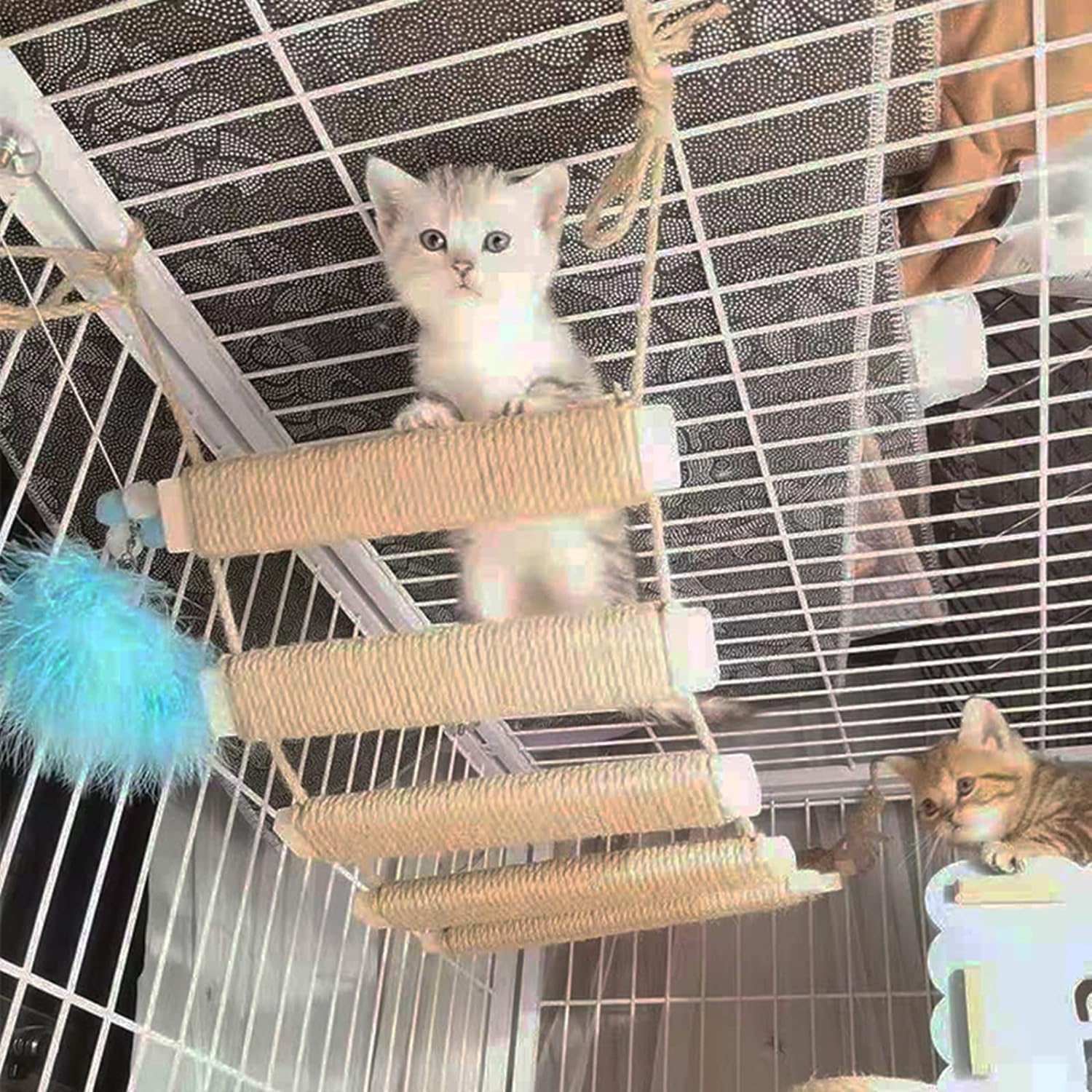 Cat Climbing Frame Tree Wall Bridge Rope Ladder for Pet Furniture