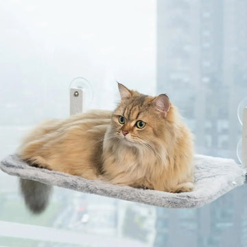 Foldable Cat Window Perch Bed Hammock