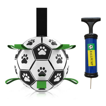 Interactive Pet Training Toy Ball