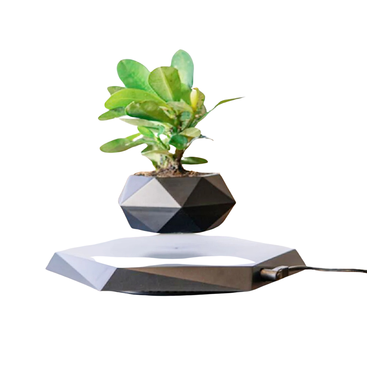 Magnetic Levitating Flower Floating Plant Pot Desk Decor