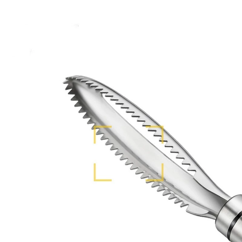 2 Pcs Stainless Steel Fish Bone Tweezers & Scaler Brush Set
