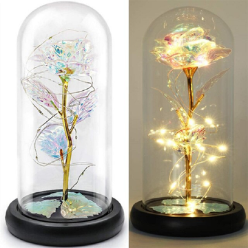 Beauty and Beast Rose Galaxy Flower