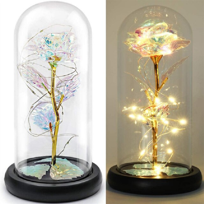Beauty and Beast Rose Galaxy Flower