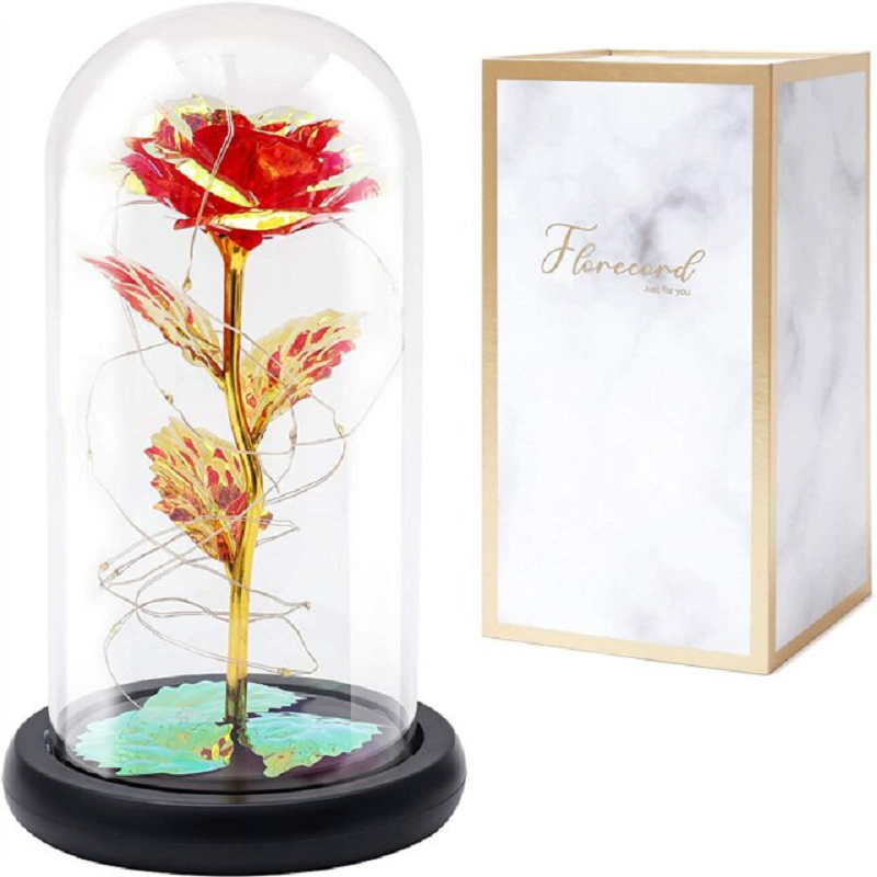Beauty and Beast Rose Galaxy Flower
