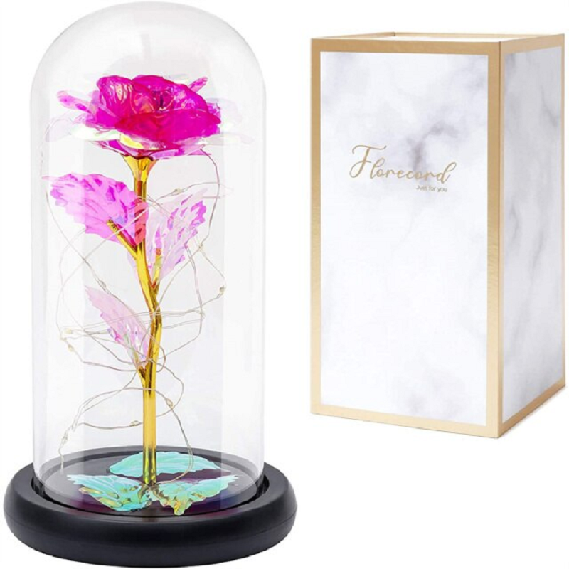 Beauty and Beast Rose Galaxy Flower
