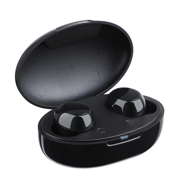 Mini Ear Hearing Aids