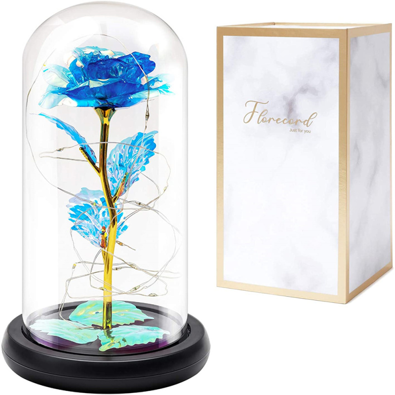 Beauty and Beast Rose Galaxy Flower