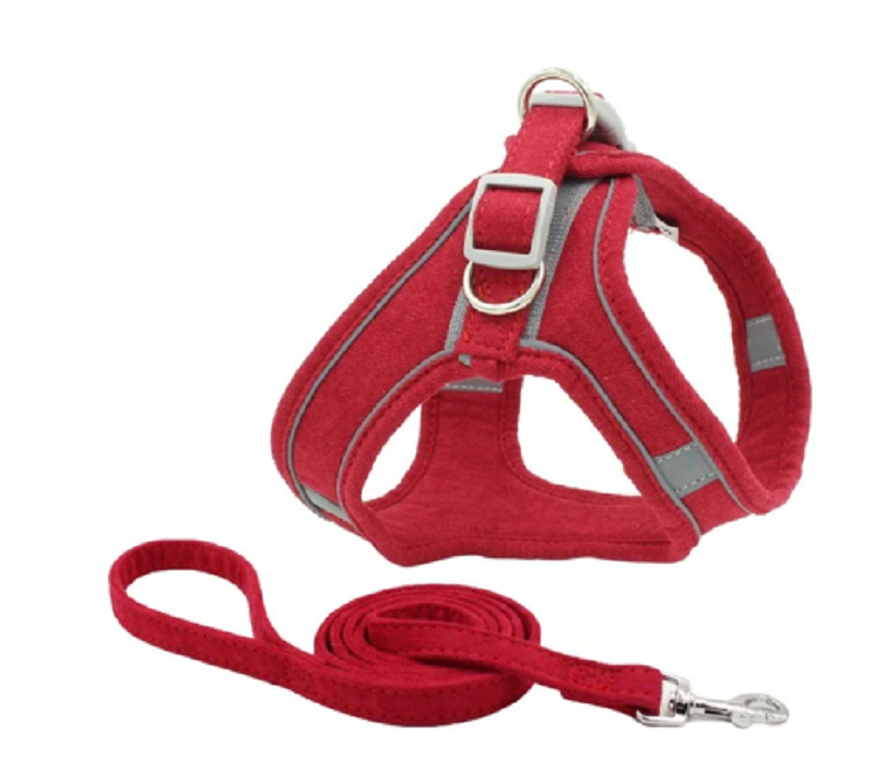 Luminous, Escape Proof Cat Vest Harness and Leash Set