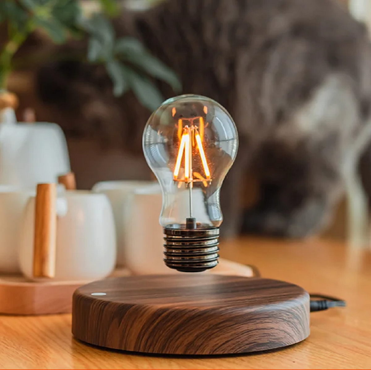 Magnetic Levitation Lamp Floating Glass LED Bulb