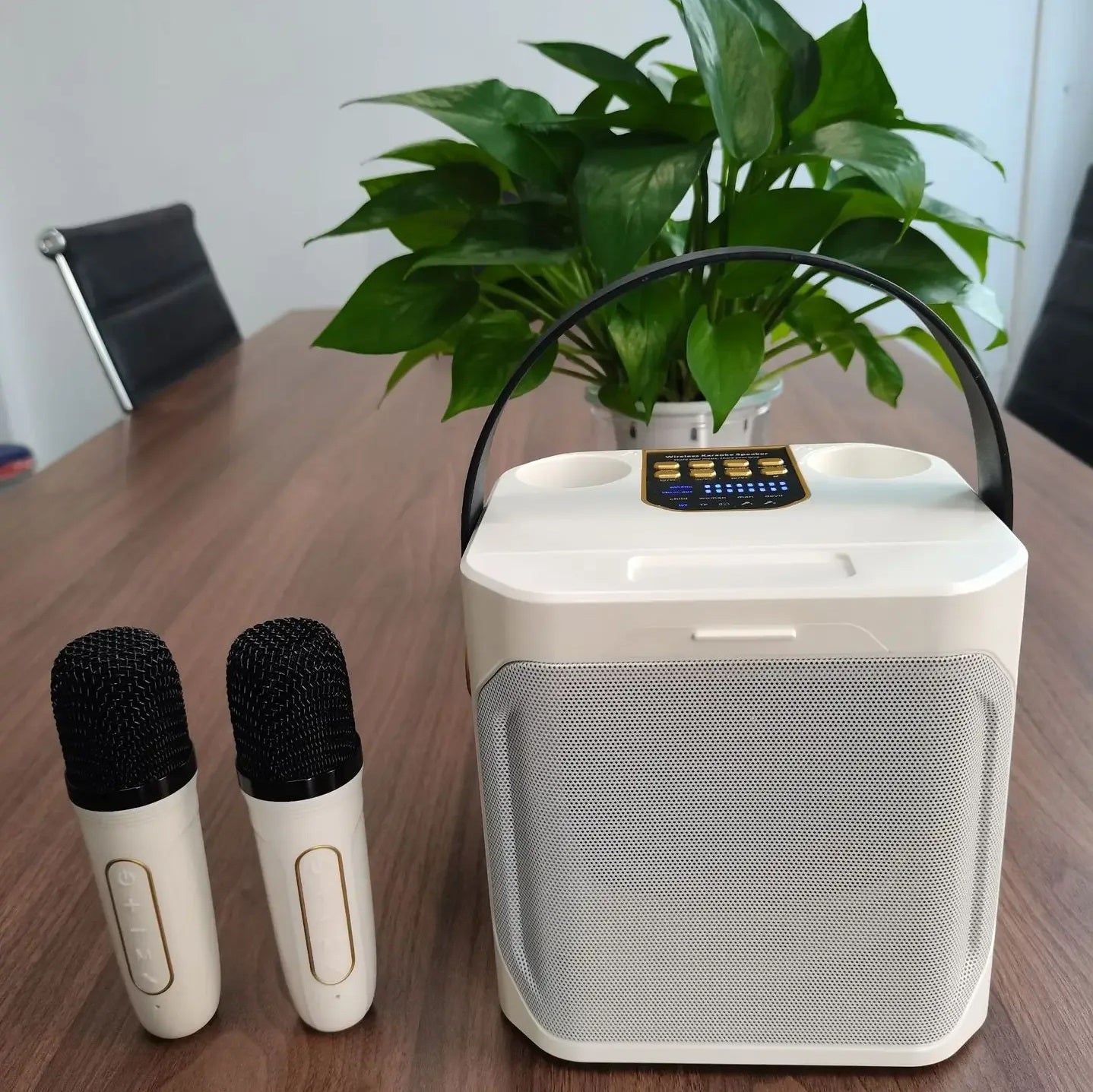 Portable High Power Karaoke Bluetooth Speaker