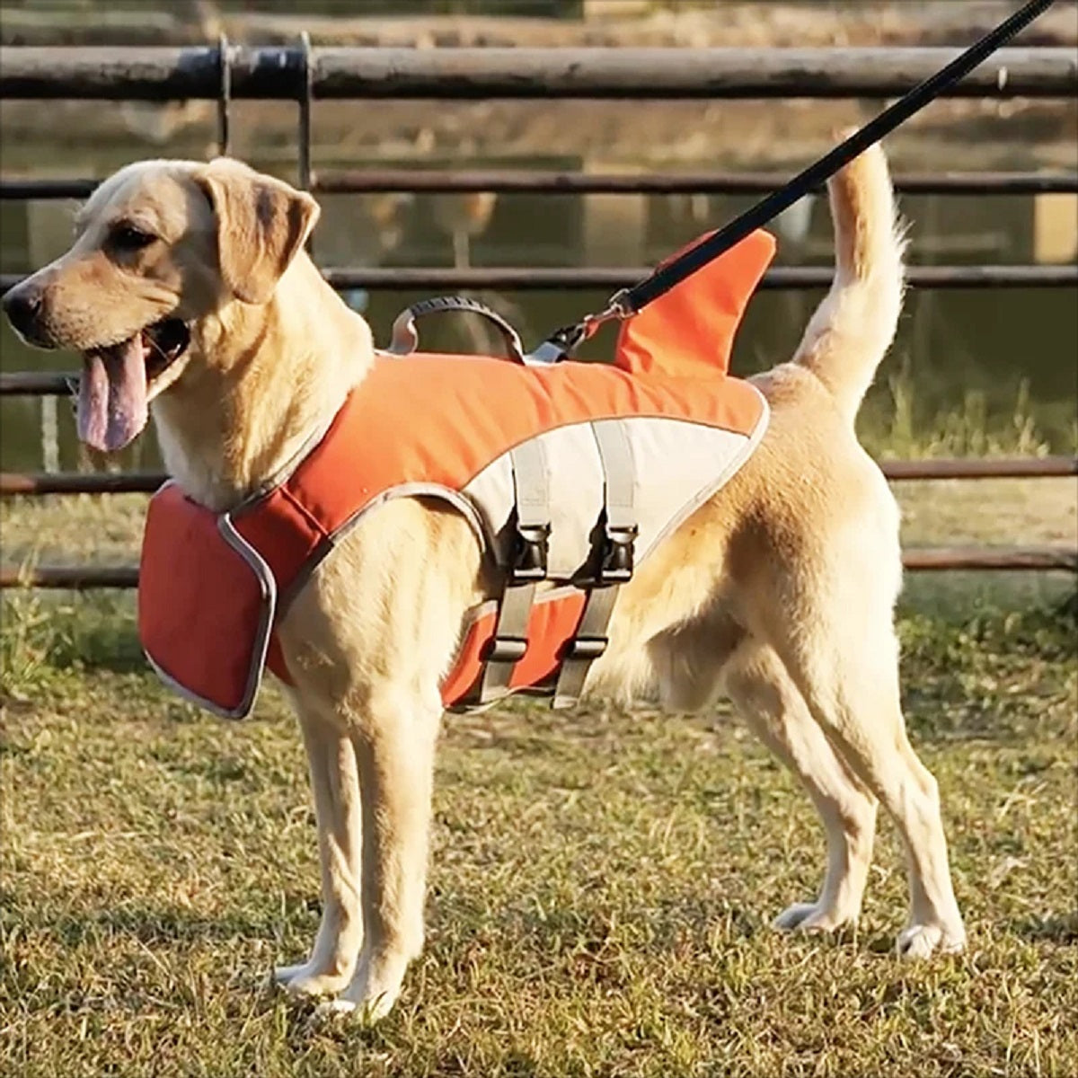 Shark Fin Dog Life Jacket -Adjustable Pet Swimming Safety Vest