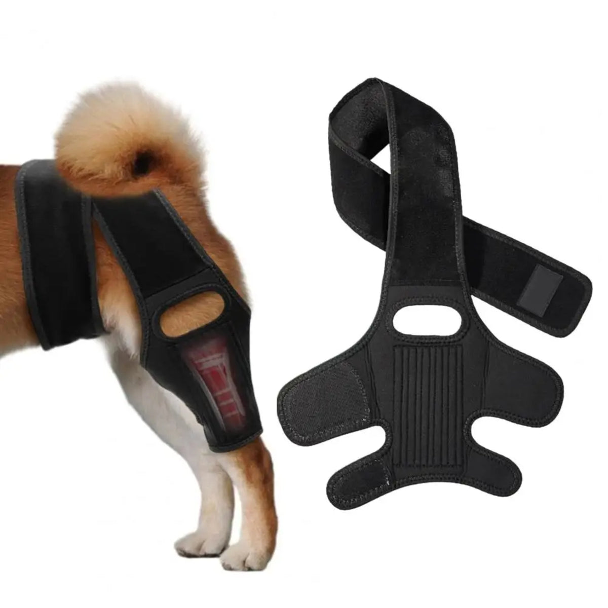 Adjustable Dog Knee And Hip Brace - Rear Leg Support for ACL Injury