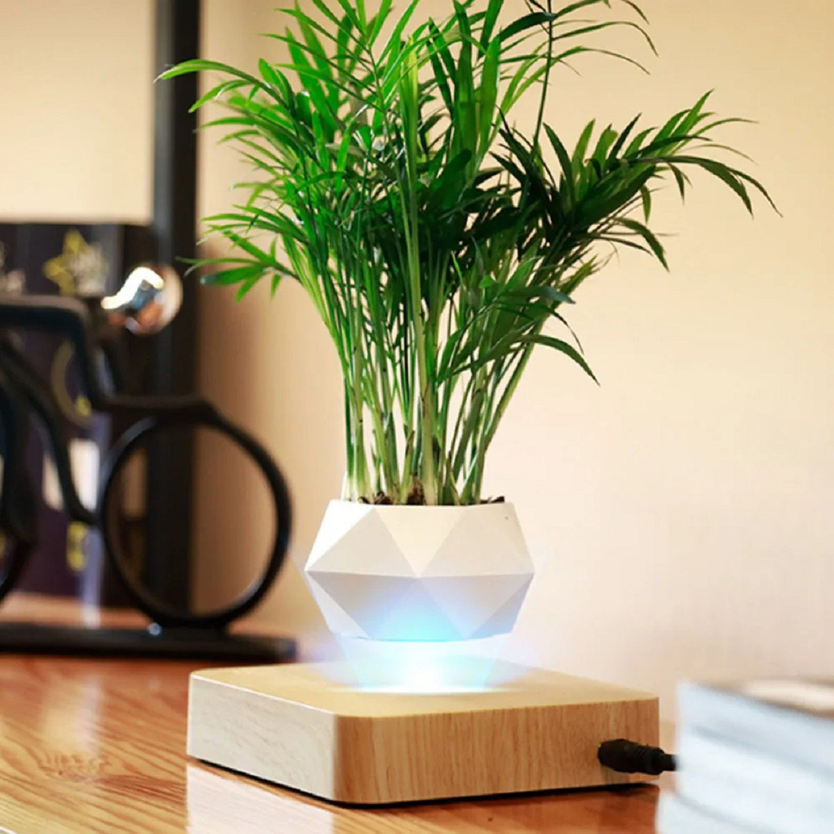 Magnetic Levitating Flower Floating Plant Pot Desk Decor