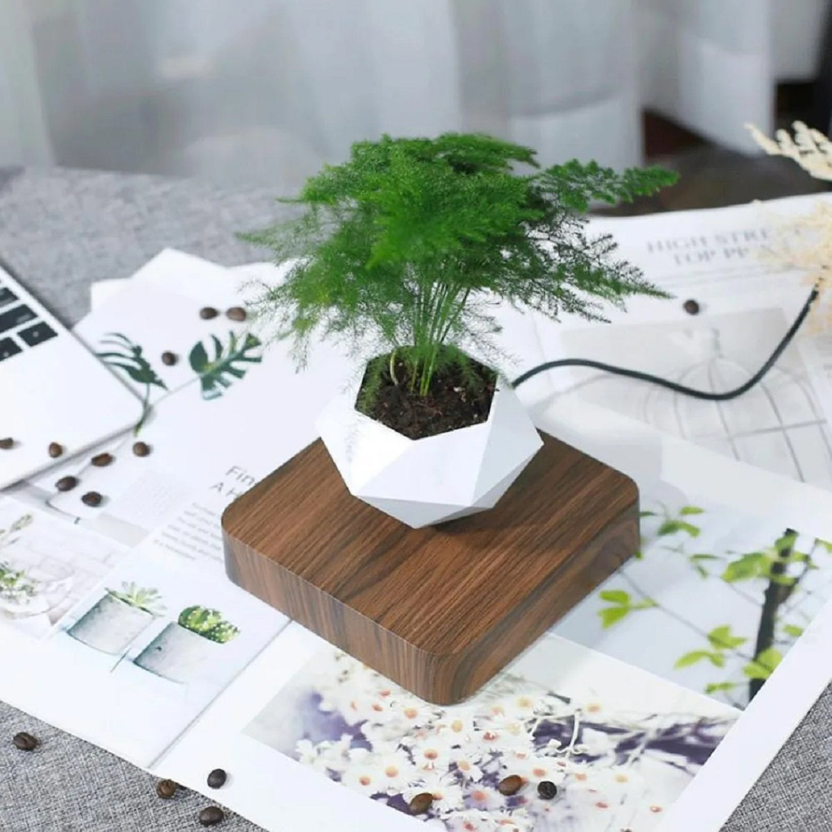 Magnetic Levitating Flower Floating Plant Pot Desk Decor