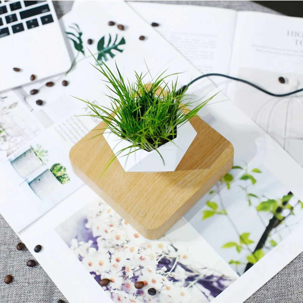 Magnetic Levitating Flower Floating Plant Pot Desk Decor