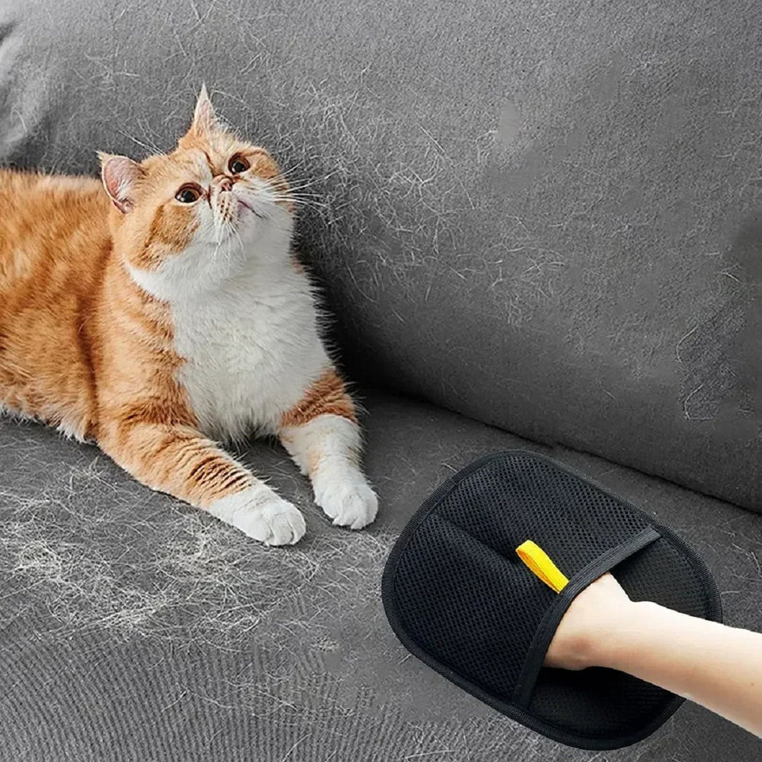 Pet Hair Removal Glove - Gentle Grooming Mitt for Cats & Dogs
