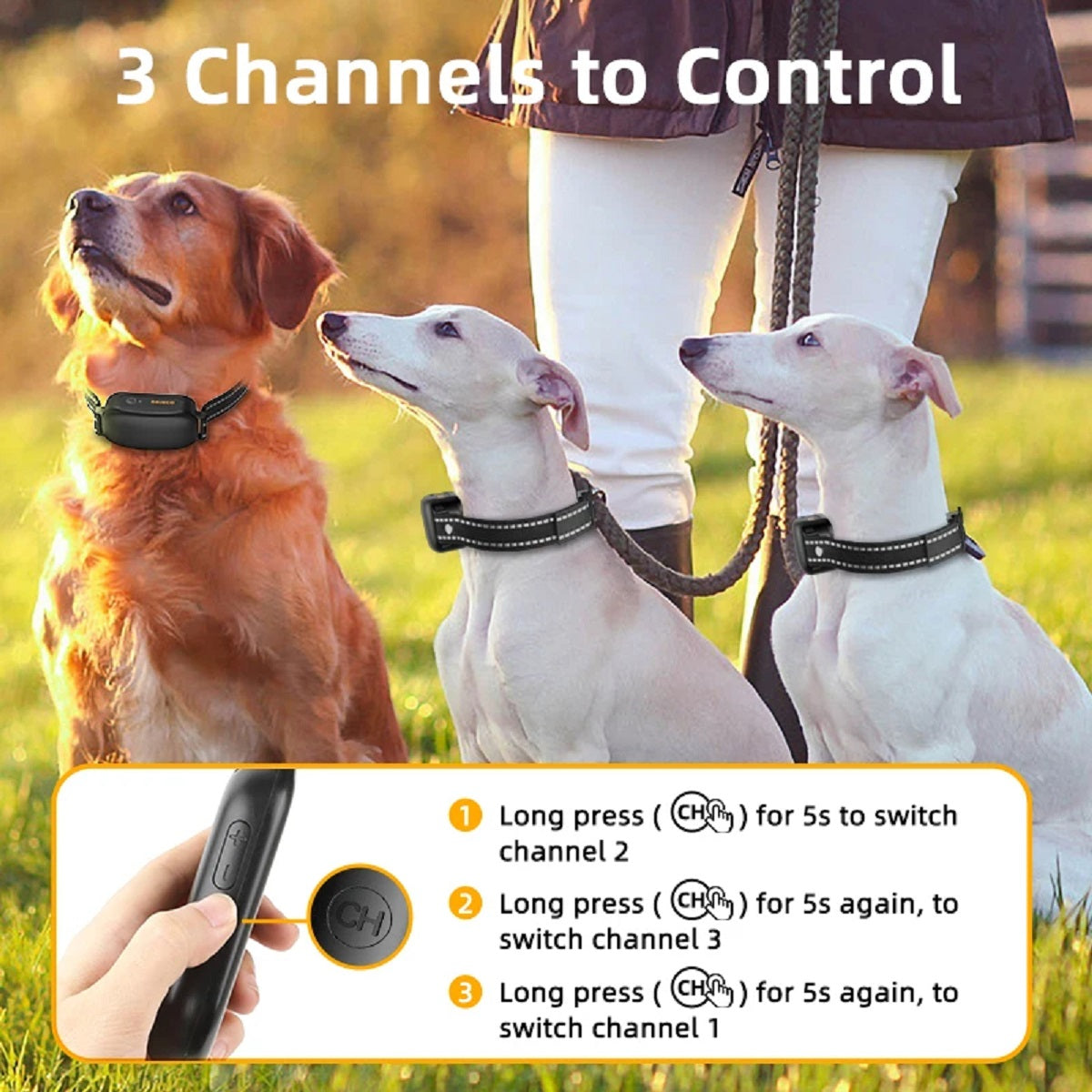 Ipx7 Waterproof Dog Training Collar - Rechargeable Remote Shock and Vibration