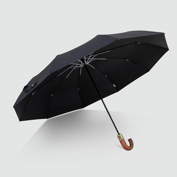 Wooden Windproof Fully Automatic Umbrella