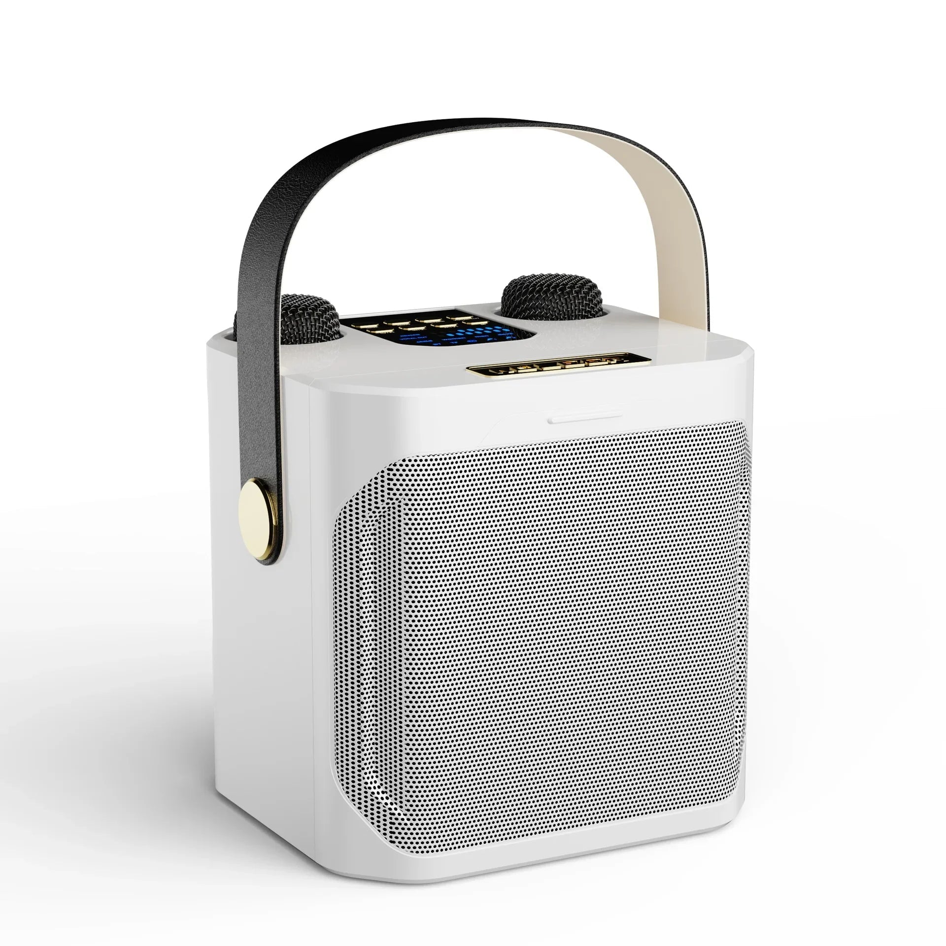 Portable High Power Karaoke Bluetooth Speaker