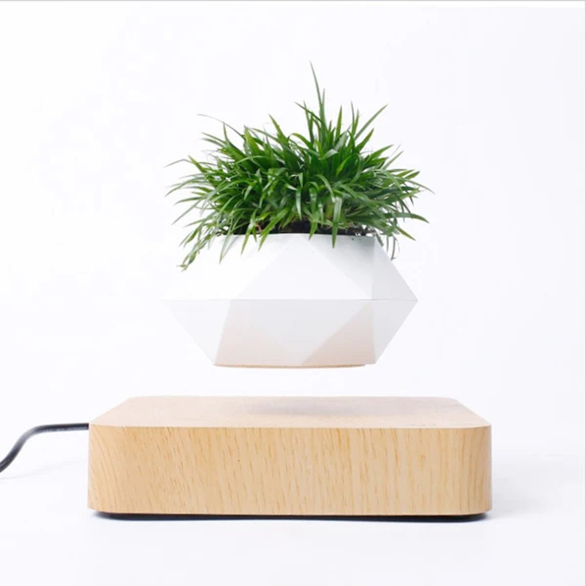 Magnetic Levitating Flower Floating Plant Pot Desk Decor