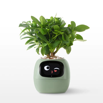 Ai Smart Flowerpot - Interactive Planter with Sensors and Expressive Animations for Indoor Decor