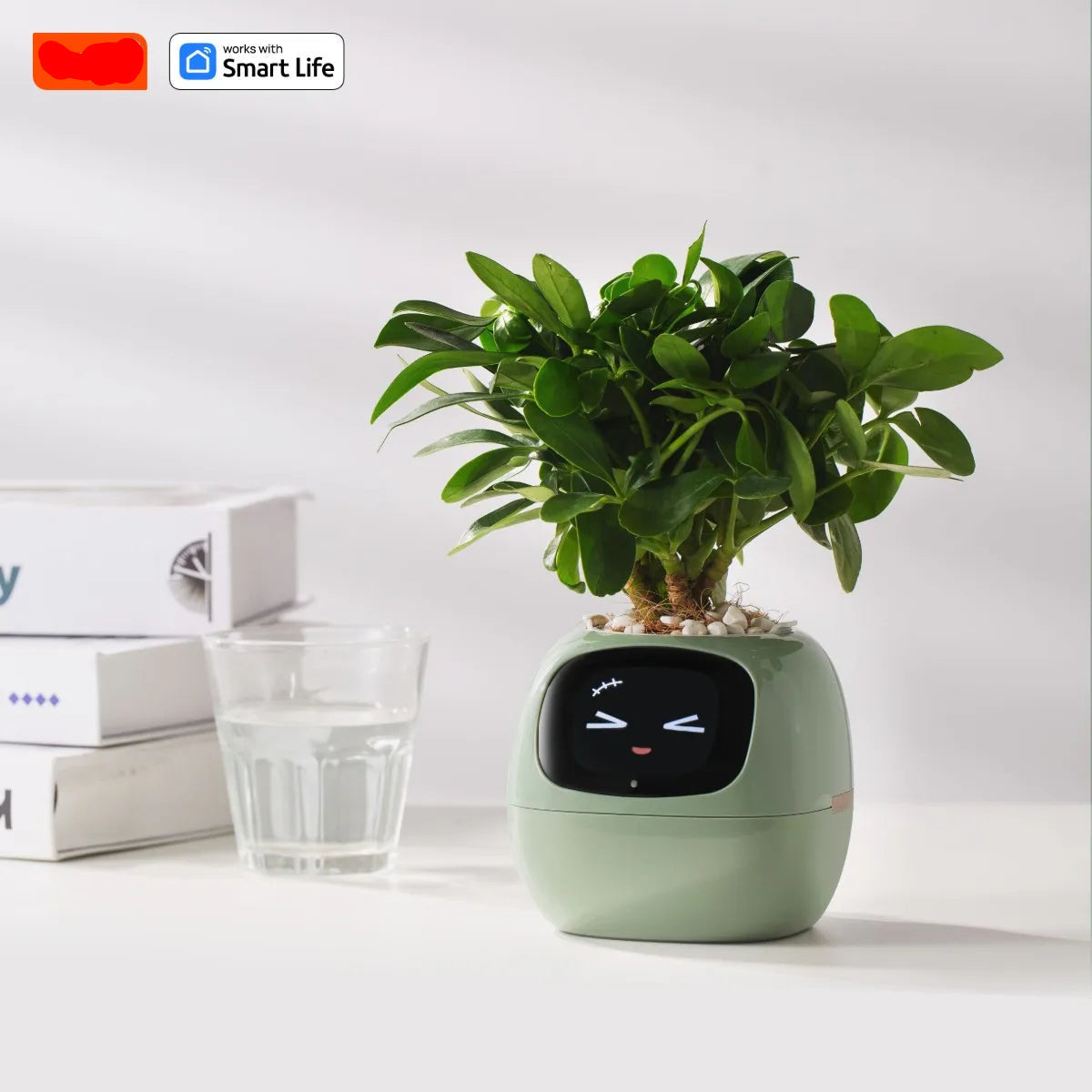 Ivy Smart Planter - Ai-Powered Pot with Sensors and Expressive Animations