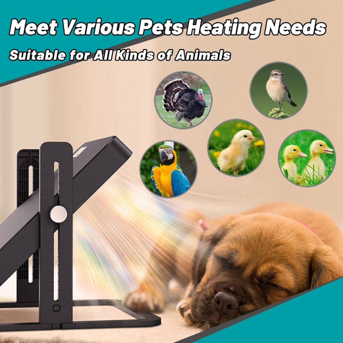 Pet Brooder Heater - Smart Heating Plate with Temperature Control