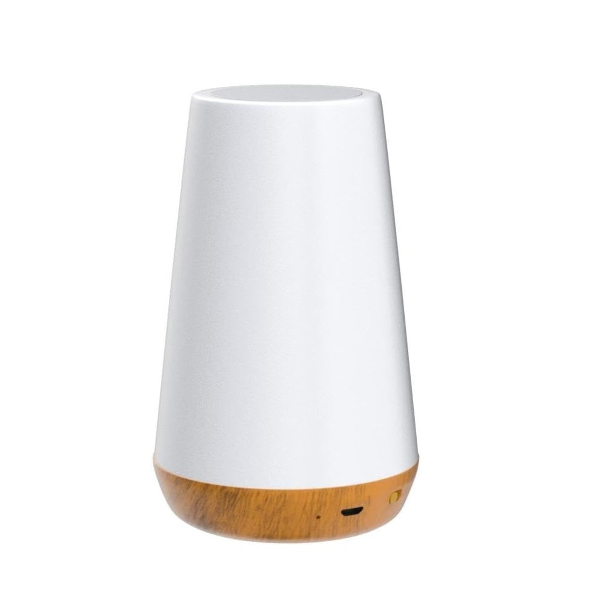 Bedside Table Lamp - USB Rechargeable Night Light with Remote and Dimming