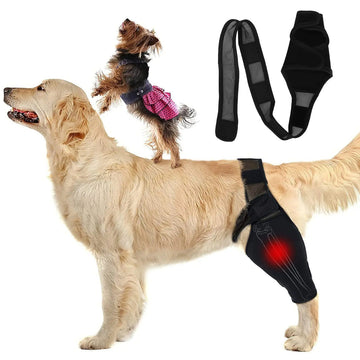 Dog Knee Brace - Rear Leg Support for Joint Pain & Injury