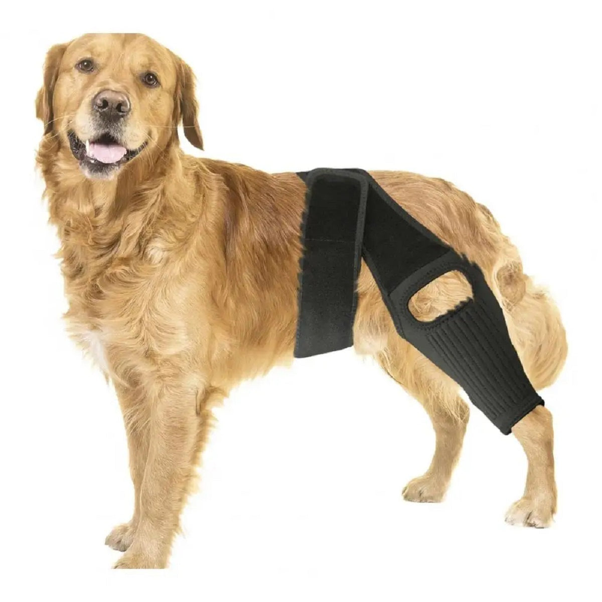 Dog Rear Leg Knee Brace - Adjustable Support for Acl Injury and Arthritis