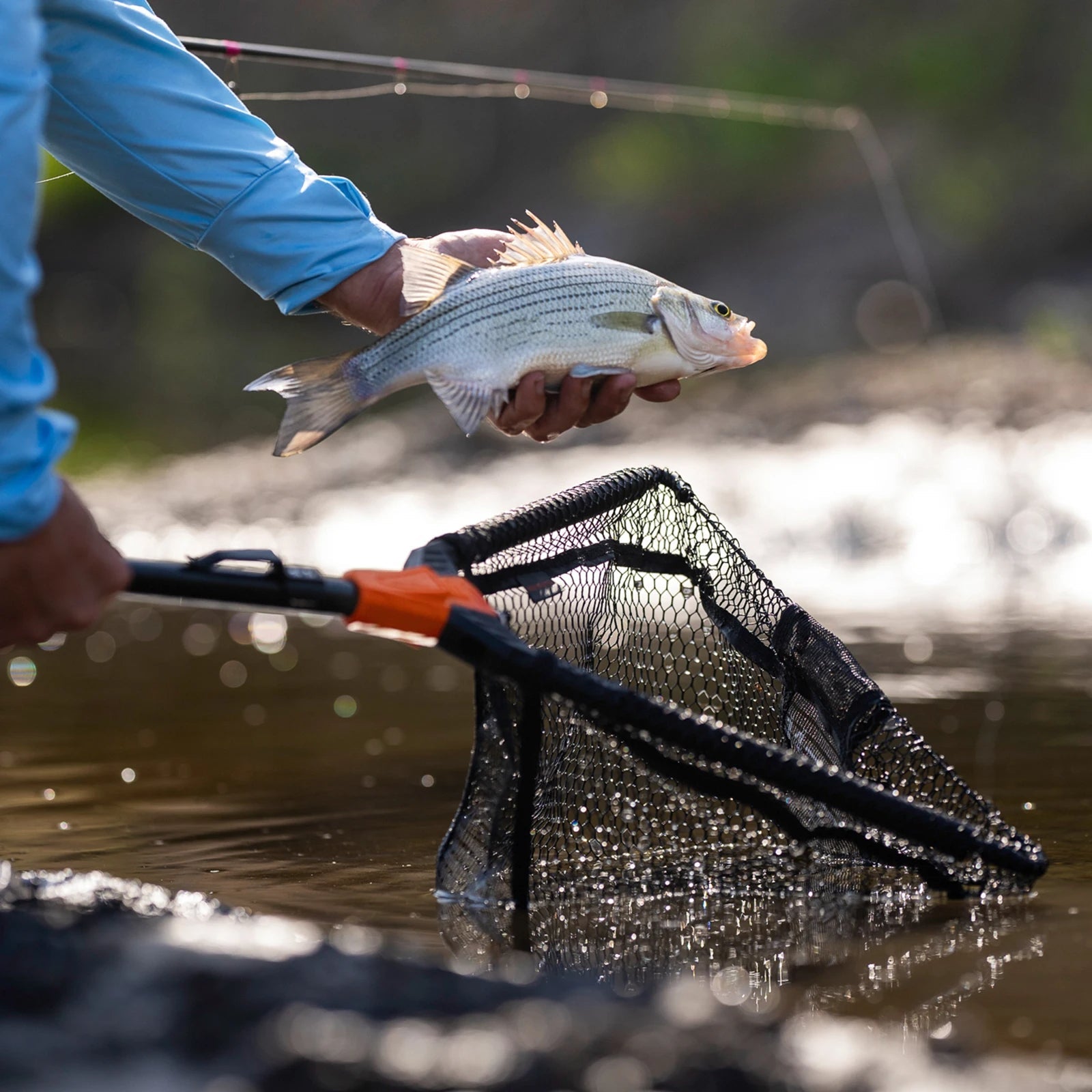 Foldable Fishing Landing Net - Lightweight with Built-In Length Scale