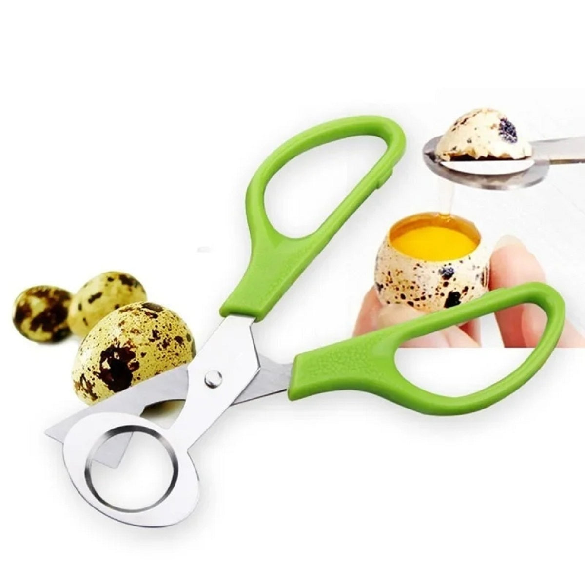 Pigeon Bird Quail Egg Cutter Tool