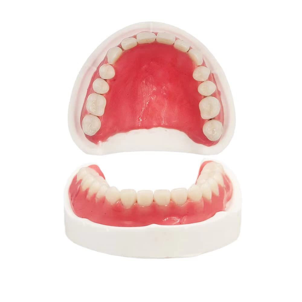 Full Mouth Silicone Dentures Natural-Looking Upper & Lower Replacement Teeth