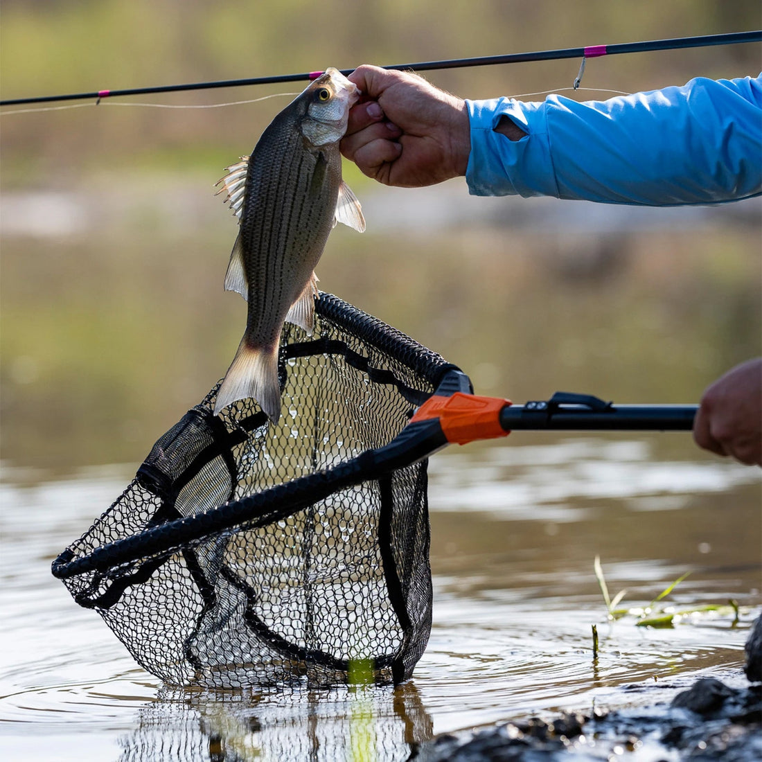 Foldable Fishing Landing Net - Lightweight with Built-In Length Scale