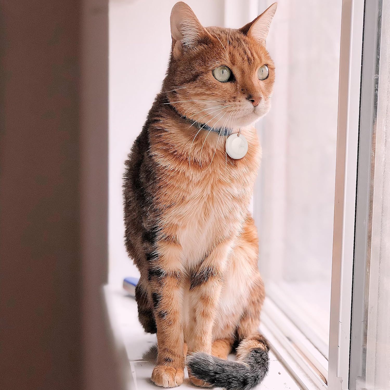 Smart GPS Tracker - Anti-Lost Bluetooth Locator for Pets