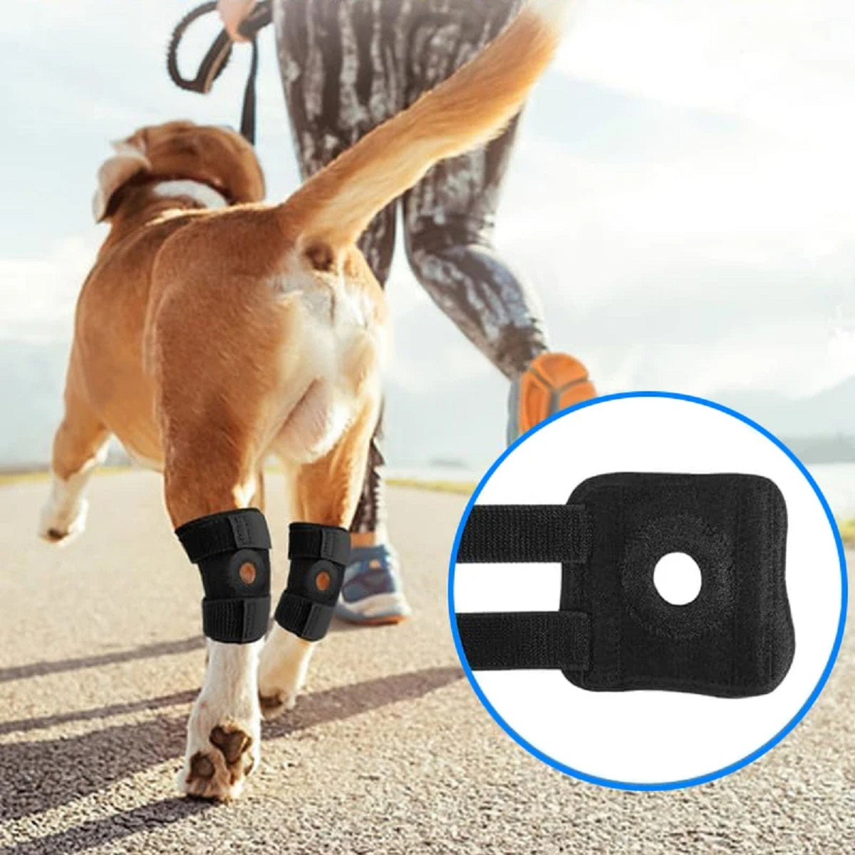 Dog Hock Joint Support Wrap - Breathable Injury-Recovery Knee Brace