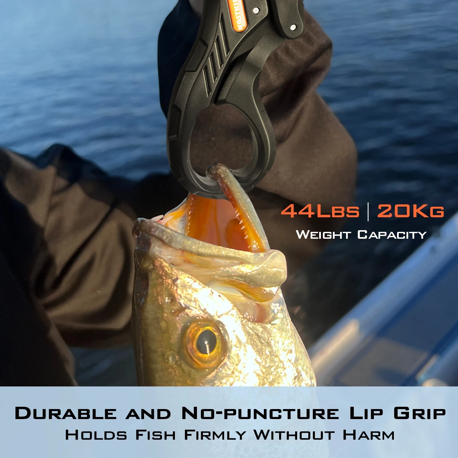 Foldable Fishing Landing Net - Lightweight with Built-In Length Scale